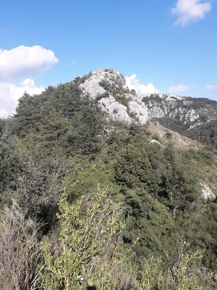 Camping Humawaka 阿尔蒂比河畔孔普斯 外观 照片